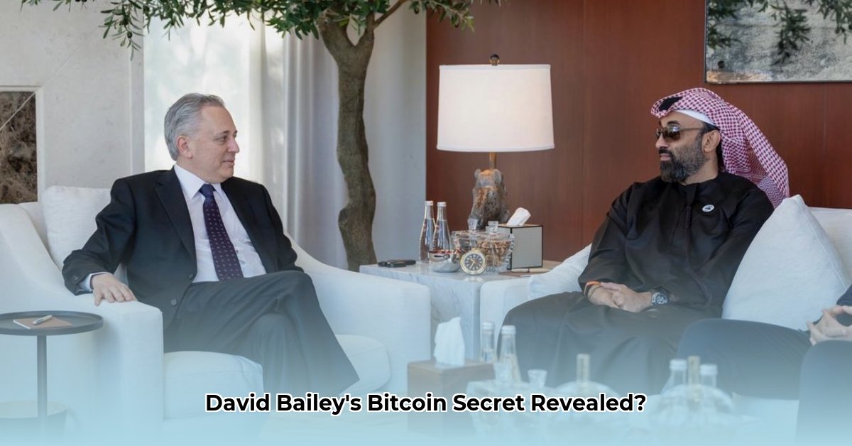david-bailey-bitcoin-net-worth